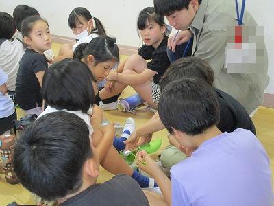 幼虫からさなぎへ