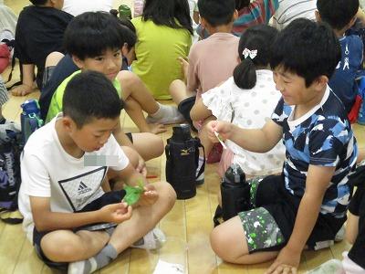 幼虫
