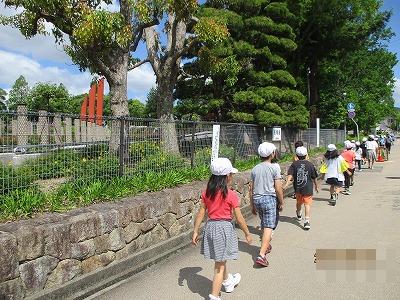 伊丹バラ公園