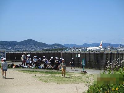 スカイパーク