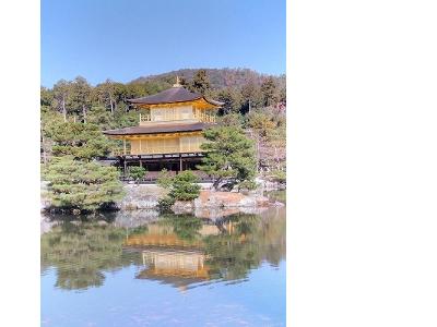 金閣寺