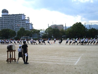高学年綱引き2