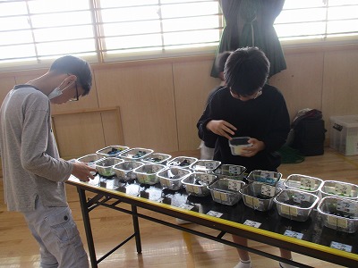 ライン作業