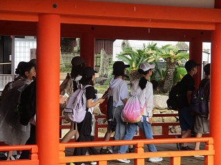 6年生