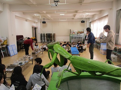 カマキリ