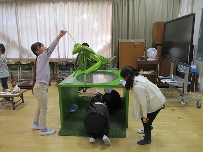 カマキリ