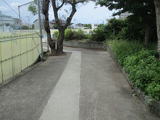 4年