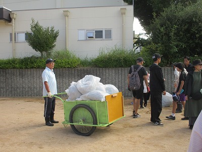 抜いた草の山