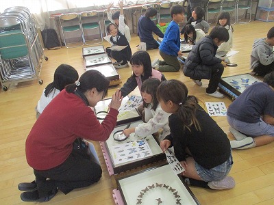 標本