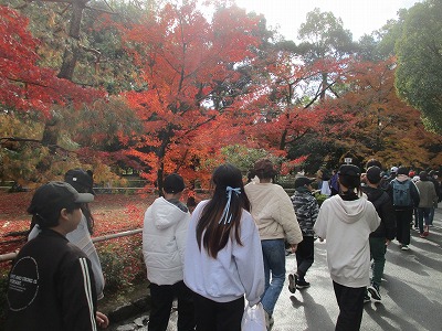 金閣寺