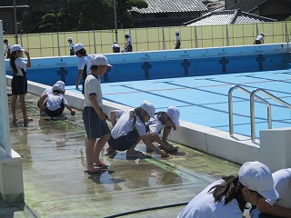 4年生