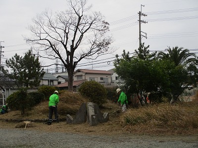植木の剪定2