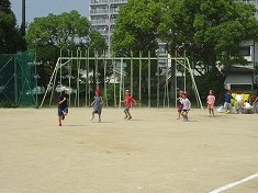 1年生