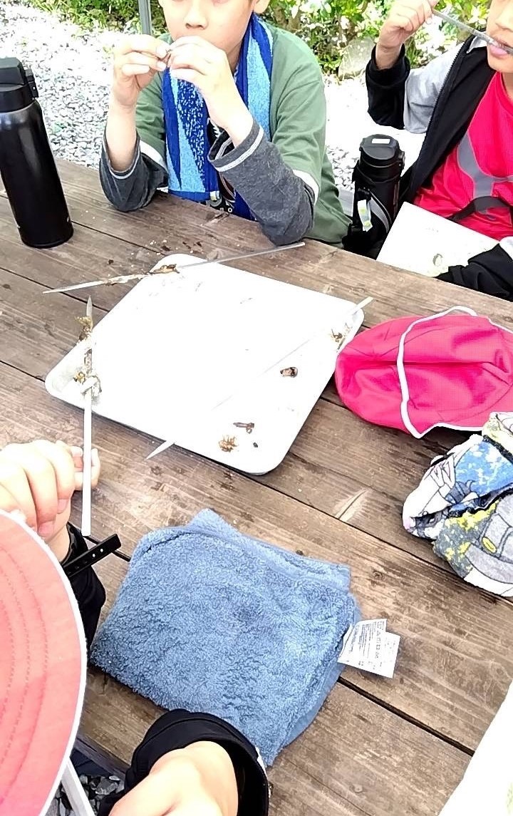 あまご食事