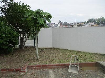 正門横