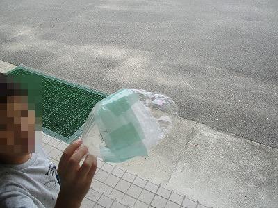 しゃぼん1