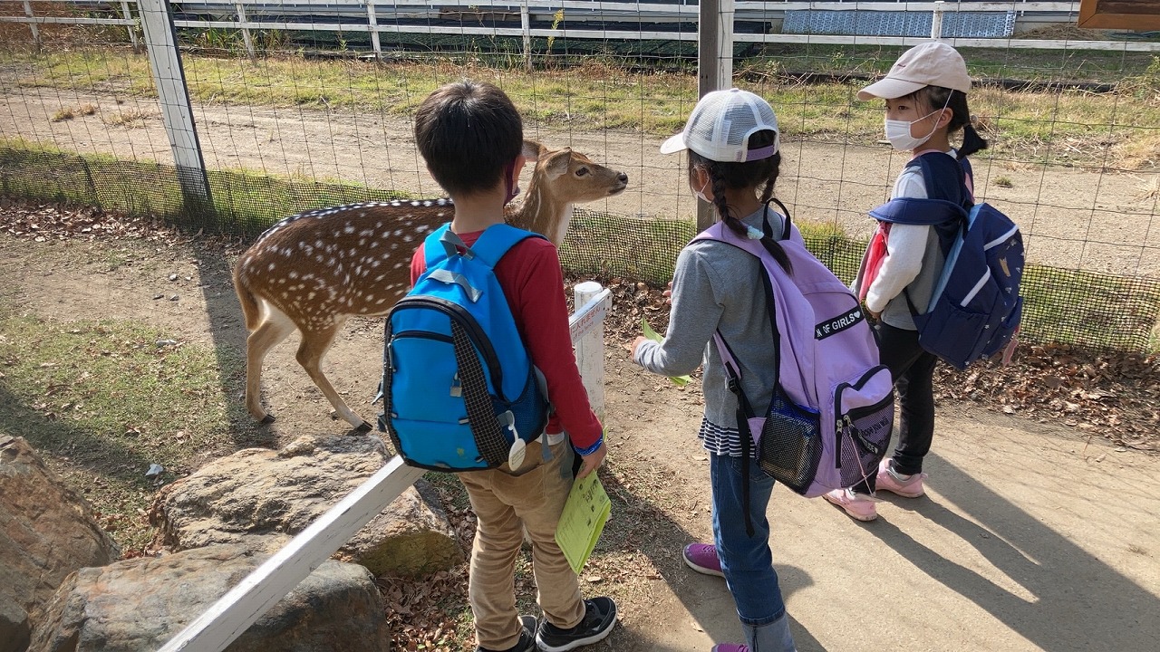 動物王国7