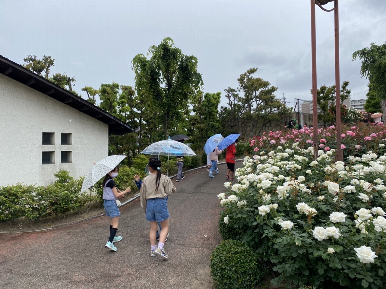 荒牧バラ公園