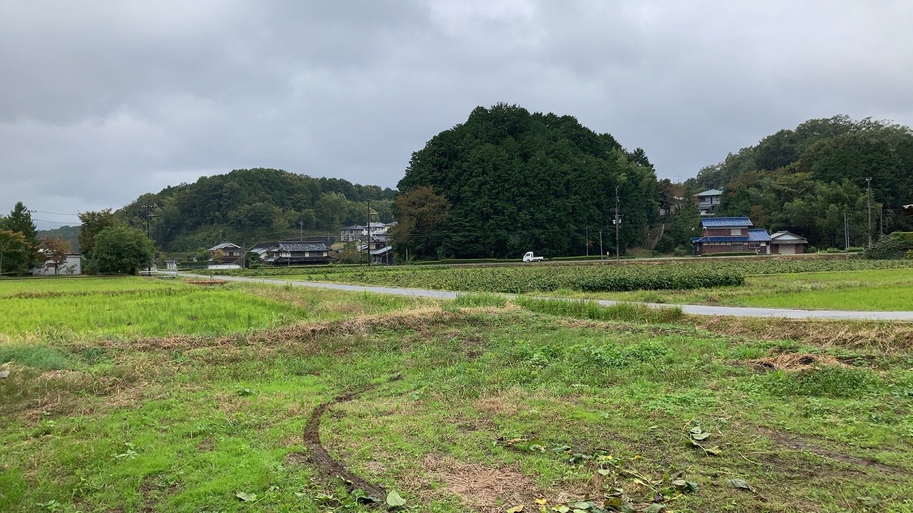 見渡す限り緑