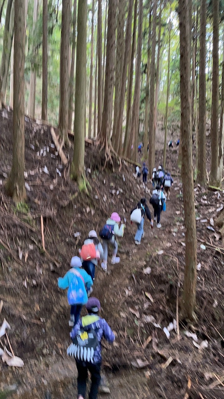 頑張ります