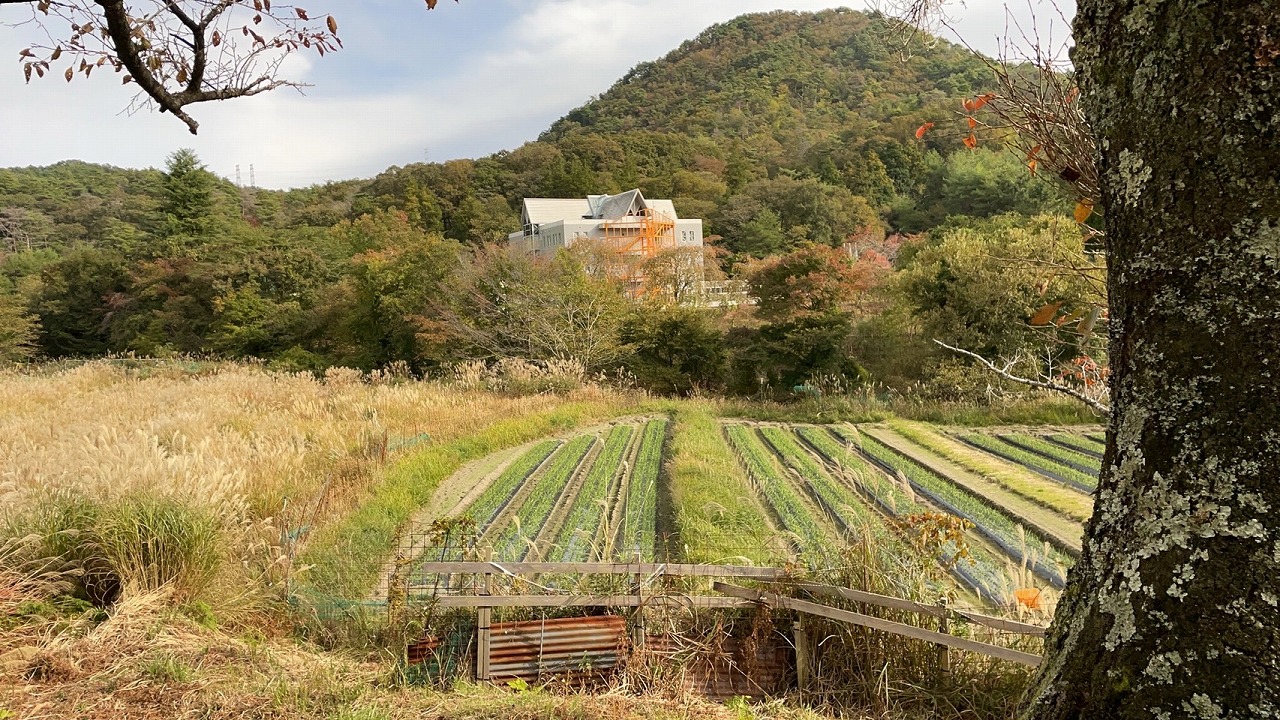 本館が見えた