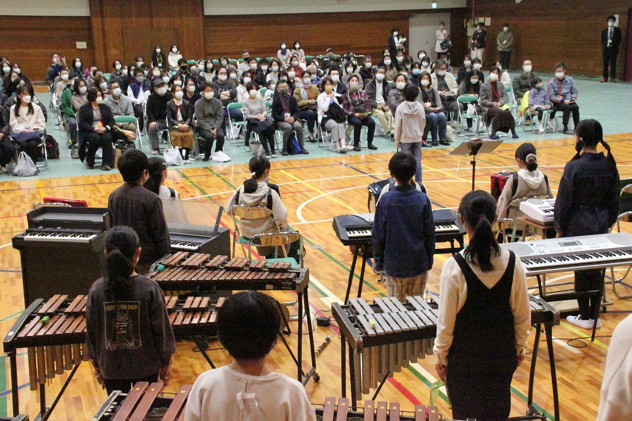 6年6