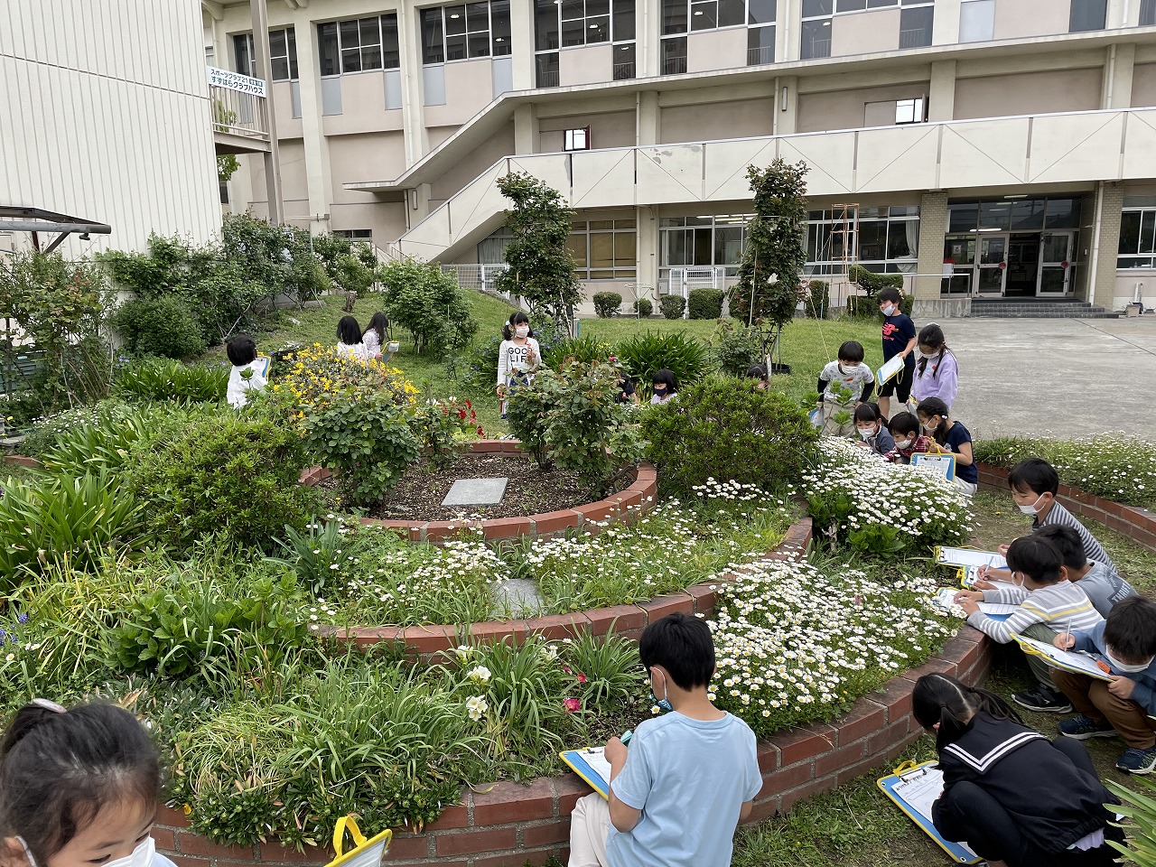 花壇の花
