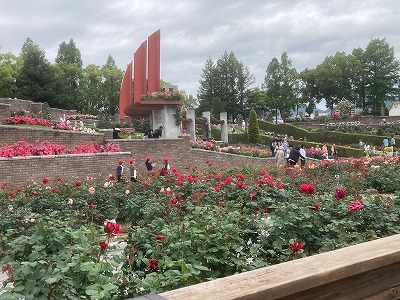 全体