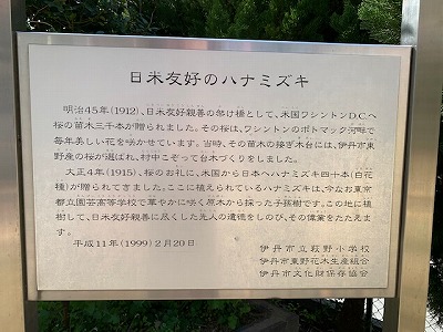 1915年に贈られたハナミズキの子孫が植えられています。