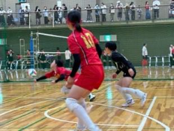 夏季総体の様子(女子バレーボール部)