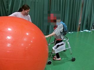 大玉転がし