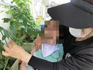 収穫1