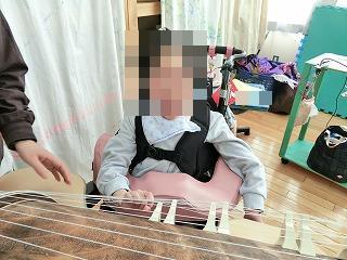 琴1