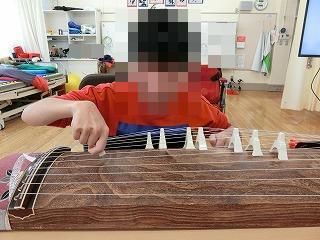 琴2