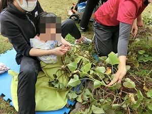 つるを引っ張る様子