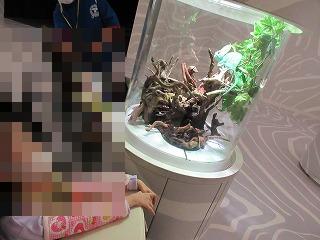 カメレオン