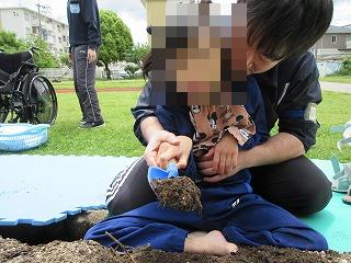 さつまいも1