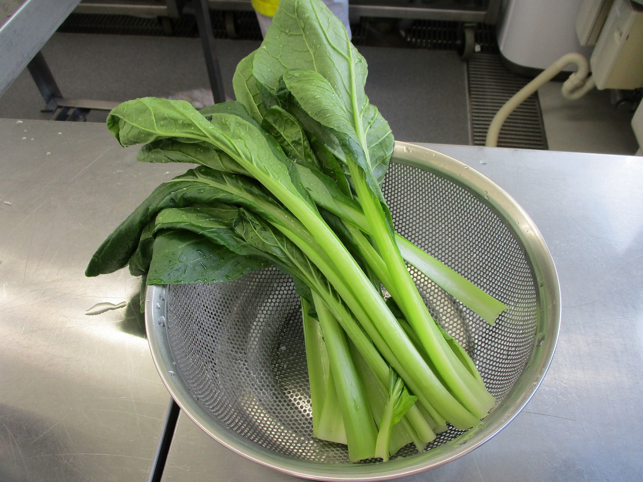伊丹市産の小松菜