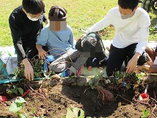 いもほりするよ