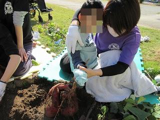5つも採れた