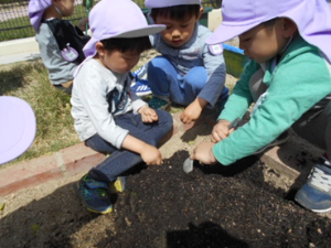 令和3年5月11日畑