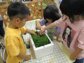 カブトムシ組が稲を植えている様子