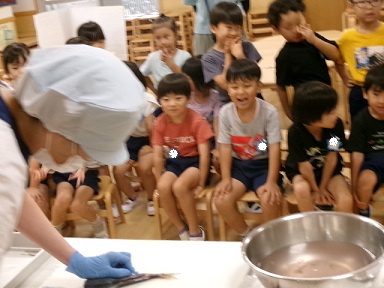 あじをさばいているところを、子ども達が見ている。