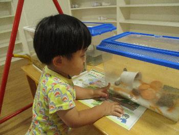 カタツムリを指差す子ども