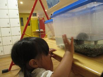 ザリガニに手をふる子ども