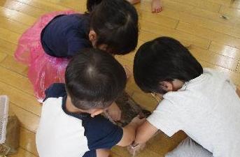 ダンゴムシの飼育ケースを覗く子どもたち