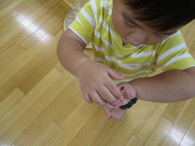 ダンゴムシを手に乗せて喜ぶ子ども
