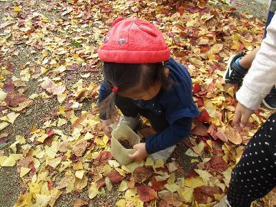 落ち葉の中からドングリを見つける子ども