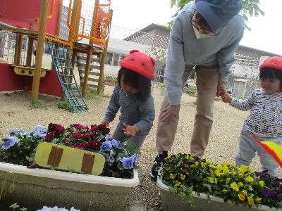 プランターの花に興味を持つ子ども