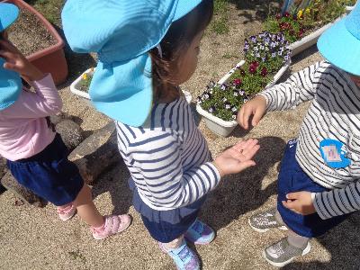 テントウムシを見つけた子ども